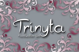 Trinyta: A Cool Handwritten Font for Business